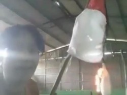 Wanita Karawang Bakar Bendera Indonesia Sempat Jadi PRT