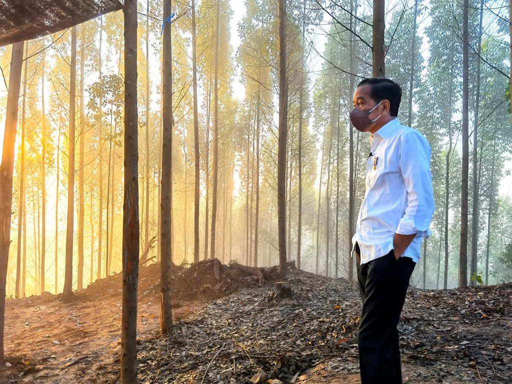 Basuki Sebut Jokowi Ogah Hadiri Groundbreaking Istana Negara di IKN