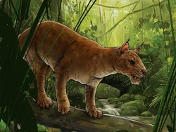 Ilmuwan Temukan Jejak Hewan Hiperkarnivora Misterius yang Telah Punah