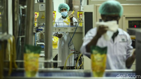 Begini Minyak Goreng Diproduksi