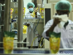 Begini Minyak Goreng Diproduksi