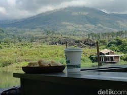 Serunya Ngopi Cantik Sambil Nikmati Pemandangan Danau dan Gunung Guntur