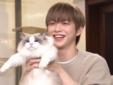 Kang Daniel dan kucing peliharaannya