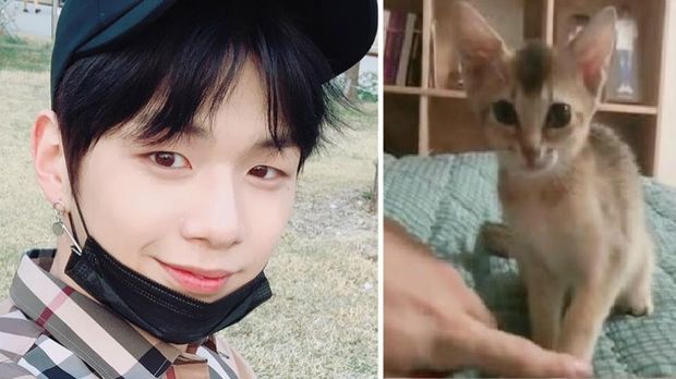 Kang Daniel dengan salah satu kucing peliharaannya