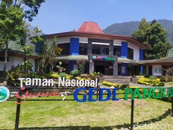 Menguak Mitos Gunung Gede Pangrango yang Terjaga Turun-temurun