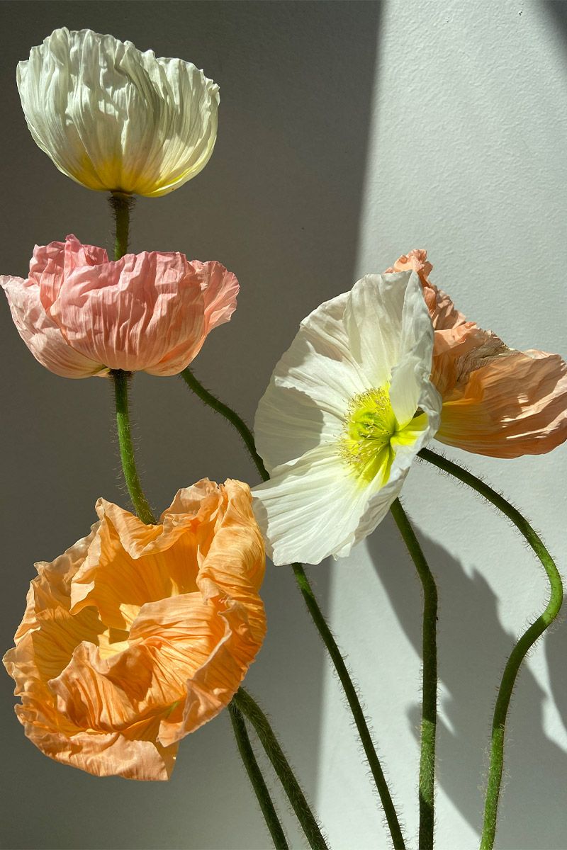 Koleksi NFT Anna October untuk ‘Fashion For Peace’ by Vogue Ukraina dan Vogue Singapore