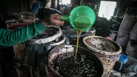 Kreatif, Wong Sragen Olah Biji Kapuk Randu Jadi Minyak Goreng