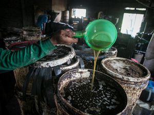 Kreatif, Wong Sragen Olah Biji Kapuk Randu Jadi Minyak Goreng