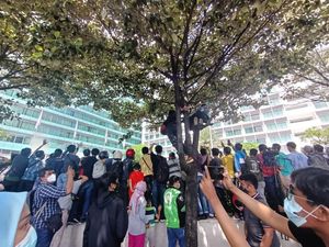 Ada-ada Saja! Warga Panjat Pohon demi Foto Pebalap MotoGP