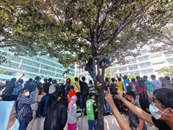 Ada-ada Saja! Warga Panjat Pohon demi Foto Pebalap MotoGP