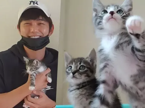 Yoo Seung Ho dan kucing peliharaannya