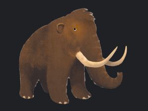 Arti 12 Hewan di Hasil Game Kuis Hari Bumi yang Dimainkan di Google