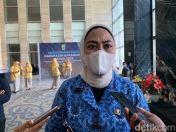 Tanggapi Bakso Tikus, Bupati Karawang Tunggu Hasil Pemeriksaan Polisi
