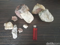 Snapshot: Foto Deretan Fosil Hewan Purba dari Sumedang