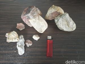 Snapshot: Foto Deretan Fosil Hewan Purba dari Sumedang Snapshot: Foto Deretan Fosil Hewan Purba dari Sumedang