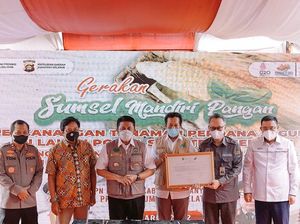 Gandeng Polda, Pemprov Sumsel Tanam Jagung di Lahan Seluas 200 Hektare