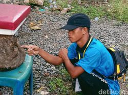 Mengintip Geliat Budi Daya Lebah Kelulut di Taman Nasional Riau