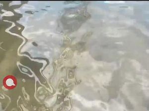 Jalan di Jaksel Banjir Meski Ada Sumur Resapan, PSI: Triliunan APBD Sia-sia!