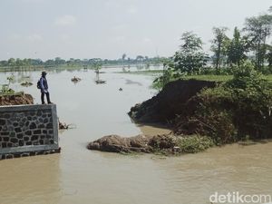 Tanggul Sungai di Cawas Langganan Jebol, Ternyata Ini Biang Keroknya Tanggul Sungai di Cawas Langganan Jebol, Ternyata Ini Biang Keroknya