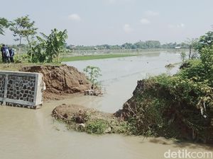 Snapshots: Penampakan Tanggul Jebol Gegara Tikus di Cawas Klaten