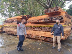 Polisi Tangkap 4 Penyelundup 76 Ribu Meter Kubik Kayu Ilegal di Banjarmasin