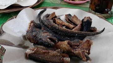 Apakah Belut Halal Dimakan?