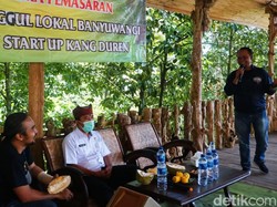 Banyuwangi Gandeng Start-Up Kang Duren Bangkitkan Kejayaan Durian Merah