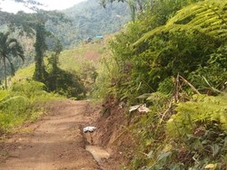 Camat di Palopo Keluhkan Jalanan Rusak Sudah Ditender Tapi Belum Dikerja