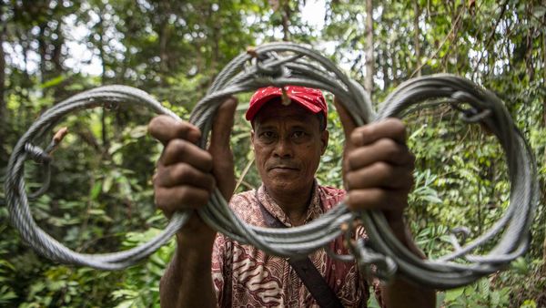 Jalan Tobat Sang Pemburu Harimau
