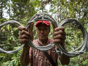 Jalan Tobat Sang Pemburu Harimau
