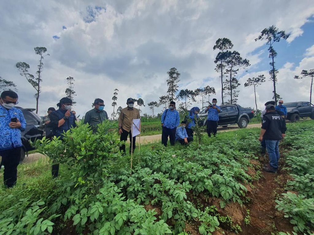 Jelang Ramadhan, Bupati Garut Jamin Pasokan Kentang-Cabai Aman Jelang Ramadhan, Bupati Garut Jamin Pasokan Kentang-Cabai Aman