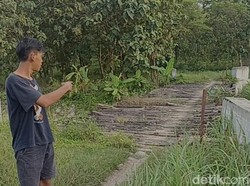 Sederet Cerita Aneh di Balik Gadis Tersesat di Hutan Kramat Grobogan