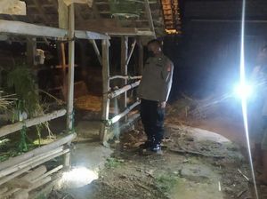Jualan Tanpa Modal, Pedagang Ternak Gunungkidul Tertangkap Curi Kambing Jualan Tanpa Modal, Pedagang Ternak Gunungkidul Tertangkap Curi Kambing