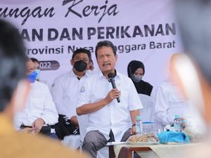 KKP Bangun Tambak Udang Modern di Sumbawa Rp 2,25 Triliun