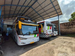Pemilik PO Bus Ini Ngefans Valentino Rossi, Semua Armadanya Berbau The Doctor
