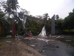 Hujan Disertai Angin Kencang, Pohon Tumbang-Tutup Akses ke Pantai Batu Hiu