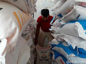 Duh! Banyak Petani di Sumut Gagal Dapat Pupuk Subsidi karena Ini