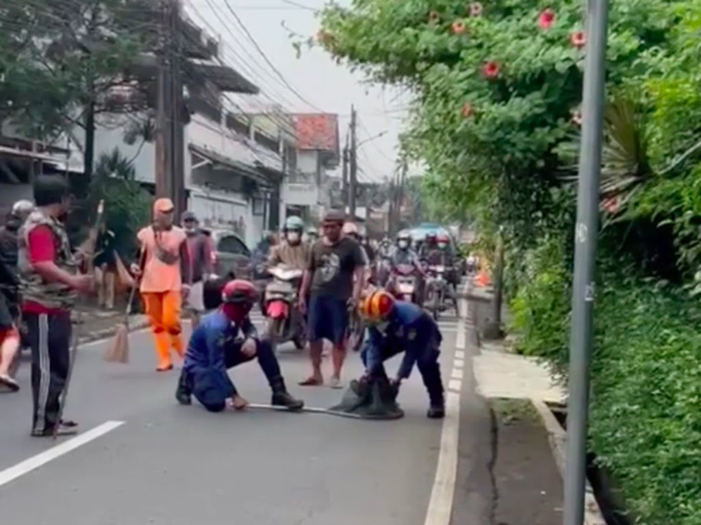 Bikin Resah, Monyet Berkeliaran di Pasar Minggu Dievakuasi di Tengah Jalan!