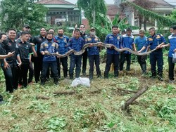 Warga Kota Bekasi Temukan Ular 4,5 Meter Saat Bersihkan Alang-alang