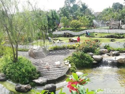 Cimory Dairyland, Ide Libur Lebaran Menarik Ala-ala Eropa