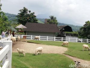 Jam Buka dan Harga Tiket Cimory Dairyland Prigen