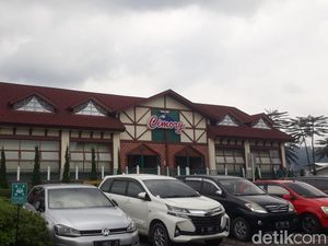 Menikmati Taman Kincir Angin hingga Main Bareng Satwa di Cimory Prigen Menikmati Taman Kincir Angin hingga Main Bareng Satwa di Cimory Prigen
