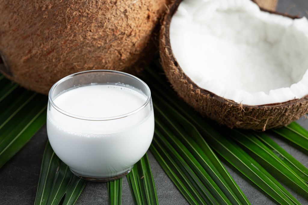 Coconut milk atau yang disebut santan oleh orang Indonesia dapat menjadi alternatif pengganti susu hewani