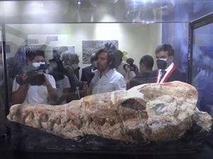 Penampakan Fosil Berusia 36 Juta Tahun di Peru Penampakan Fosil Berusia 36 Juta Tahun di Peru