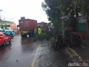 Pohon Tumbang Bikin Macet Kawasan Wisata Cheng Hoo Pasuruan
