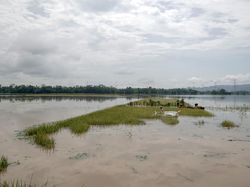17 Ribu Hektare Sawah di Jateng Terdampak Banjir, Terparah di Pati