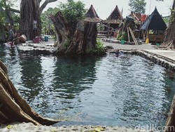 Snapshots: Umbul Manten Tempat Kungkum Raja yang Dikelilingi 7 Pohon Tua