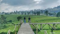 Sempat Jadi Primadona, Wisata Riung Gunung Pangalengan Kini Sepi