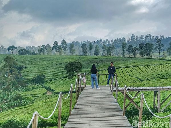 Nuansa Riung Gunung di Bandung, Hijau Menyegarkan Mata