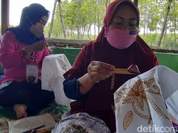 Batik Mangrove Brebes, Pakai Pewarna Alami dari Tumbuhan Pesisir